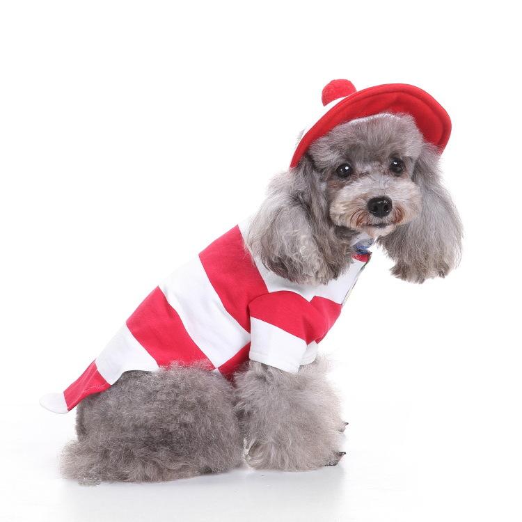 Dog Halloween costume with funny costumes Dog Halloween costume with funny costumes