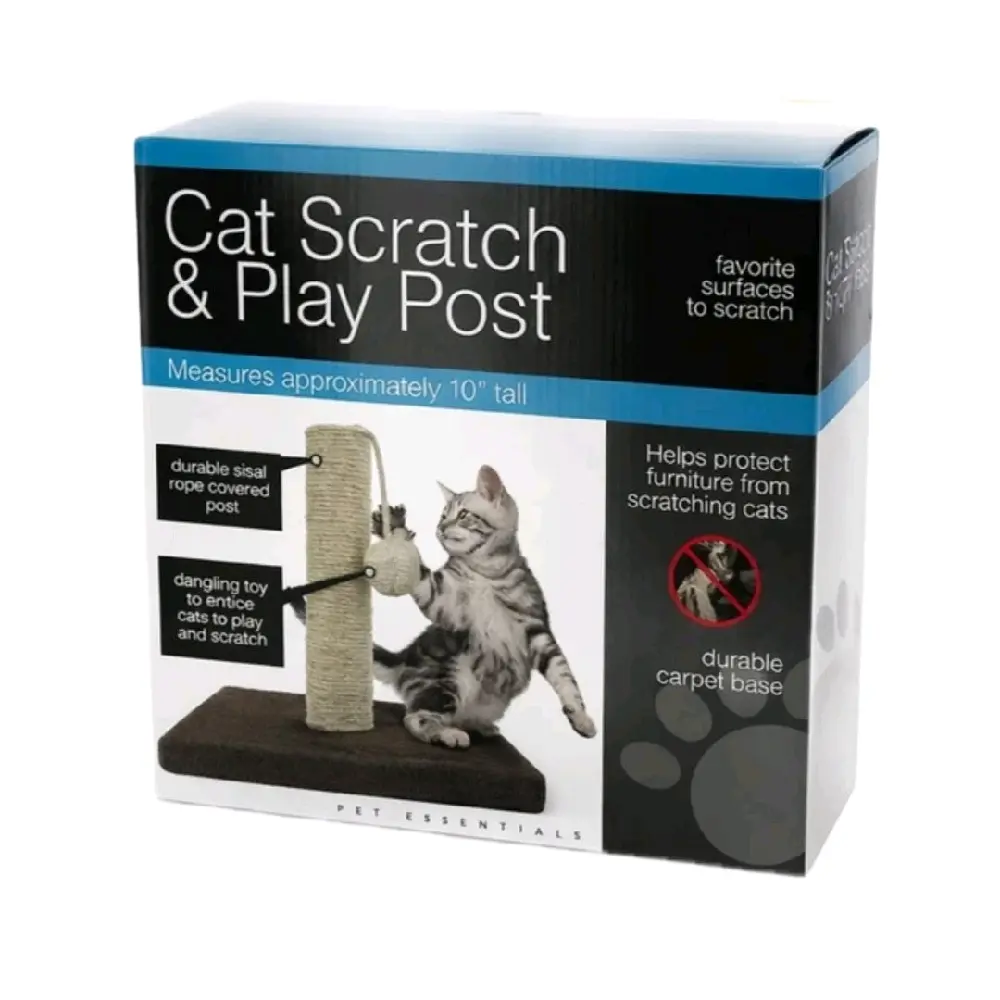Cat Scratch & Play Post - TikTok Shop