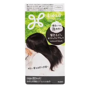 Kao Liese Prettia Bubble Hair Color, Natural Black  1 each