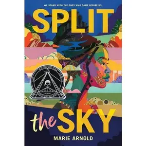 Split the Sky -- Marie Arnold, Hardcover