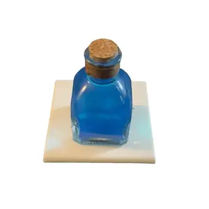 Autumn’s purple door Skyrim inspired minor magicka potion replica / prop