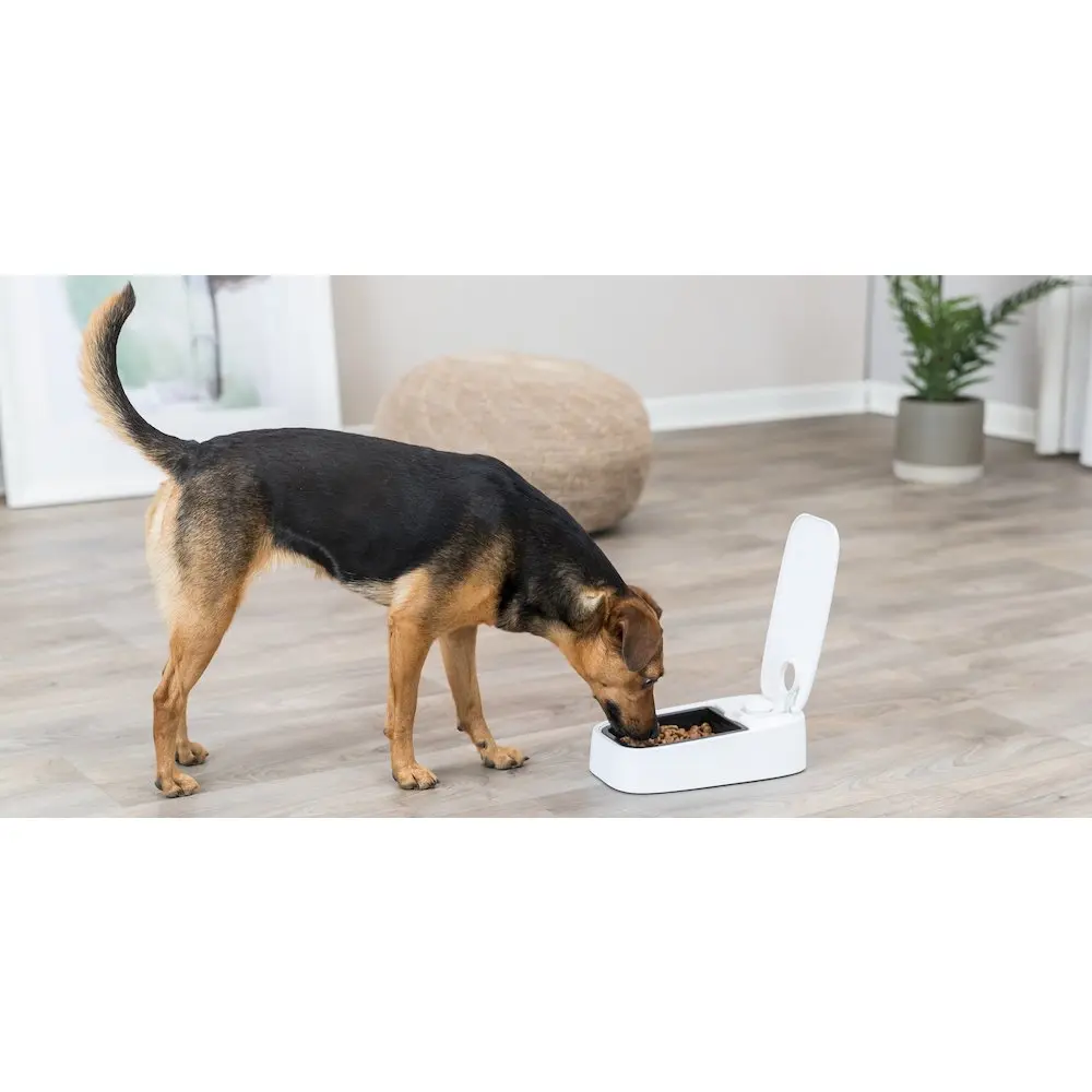 Trixie TX1 Automatic Pet Feeder - Single Serving, 48-Hour Timer, Battery Operated, 10 oz Feeding Tray with Ice Pack, Top Rack Safe, Meal Scheduling for Regular Eating Routines
