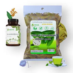 Guanábana (Soursop) Wellness Set – 90 Capsules + Whole Dried Soursop Leaves (4 oz) + Stainless Steel Tea Strainer