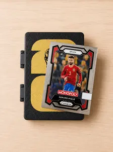 Collectible Card Organizer Case