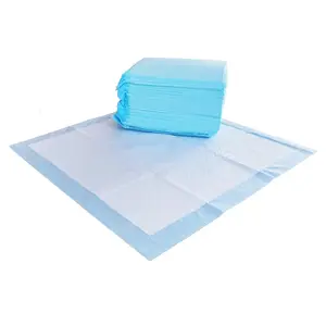 Dog and Puppy Pee Pads with 5-Layer Leak-Proof Design and Quick-Dry Surface for Potty Training, Regular, 22 x 22 Inch, Scented, Pack of 100, Blue & White