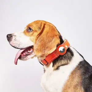 Pet Positioning Tracker Collar - Orange Adjustable Nylon Webbing with Neoprene for Small to X-Large Dogs - Secure Airtag for Tracking & Safety - Lightweight & User-Friendly App - Durable Construction