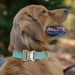 Quick Release Adventure Collar - Mint