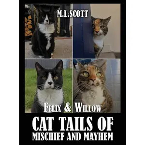 USED-Felix & Willow cat tails of mischief and mayhem by Scott, M. L. (Hardcover)