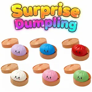 2026 New Assorted Aesthetic Dumpling Toys - 3.15-inch Sensory Fidget Squishy with Steamer Box, Trending Stress Relief Squeeze Dough Ball, Professional Handheld Mochi for Adults & Teens