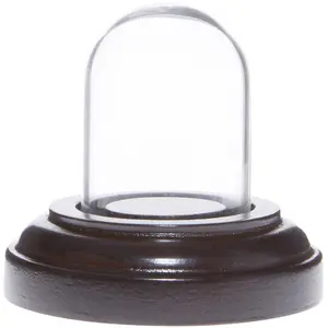 Plymor Miniature 1" x 1.5" Mini Glass Display Dome TINY Cloche