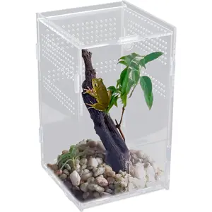 Terrarium Enclosure Acranged Transparent Climbing Pet Feeding Boxes Easy to Install Arboreal Boxes for Reptiles Invertebrates