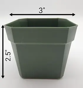 Green Square Pot (3x2.5")