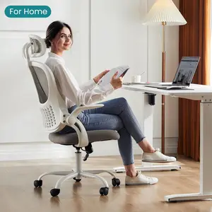 Gray Ergonomic Mesh Office Chair with Flip-Up Arms, Adjustable Headrest & Lumbar Support, High-Back Rolling Desk Chair for Home Office or Study Room
