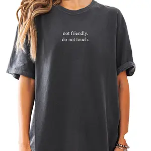 Sarcastic Shirt, Not Friendly Do Not Touch Shirt, Funny Humor Shirt, Adult Humor Shirt, Sarcasm Shirt, Funny Trendy Shirt