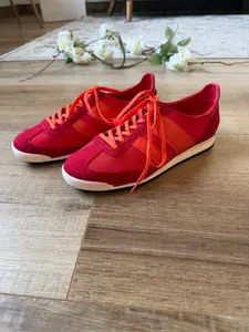 Jumper Sneaker (Madden Girl)