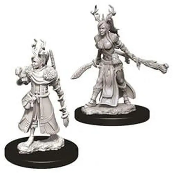 WizKids WZK73701 Dungeons & Dragons Nolzurs Marvelous Female Human Druid W9 Collectible Miniature, Home Decor Statue Figurine, Collectibles