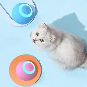 Electric Cat Ball