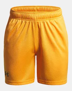 Under Armour Tech™ Mesh Boys' Shorts