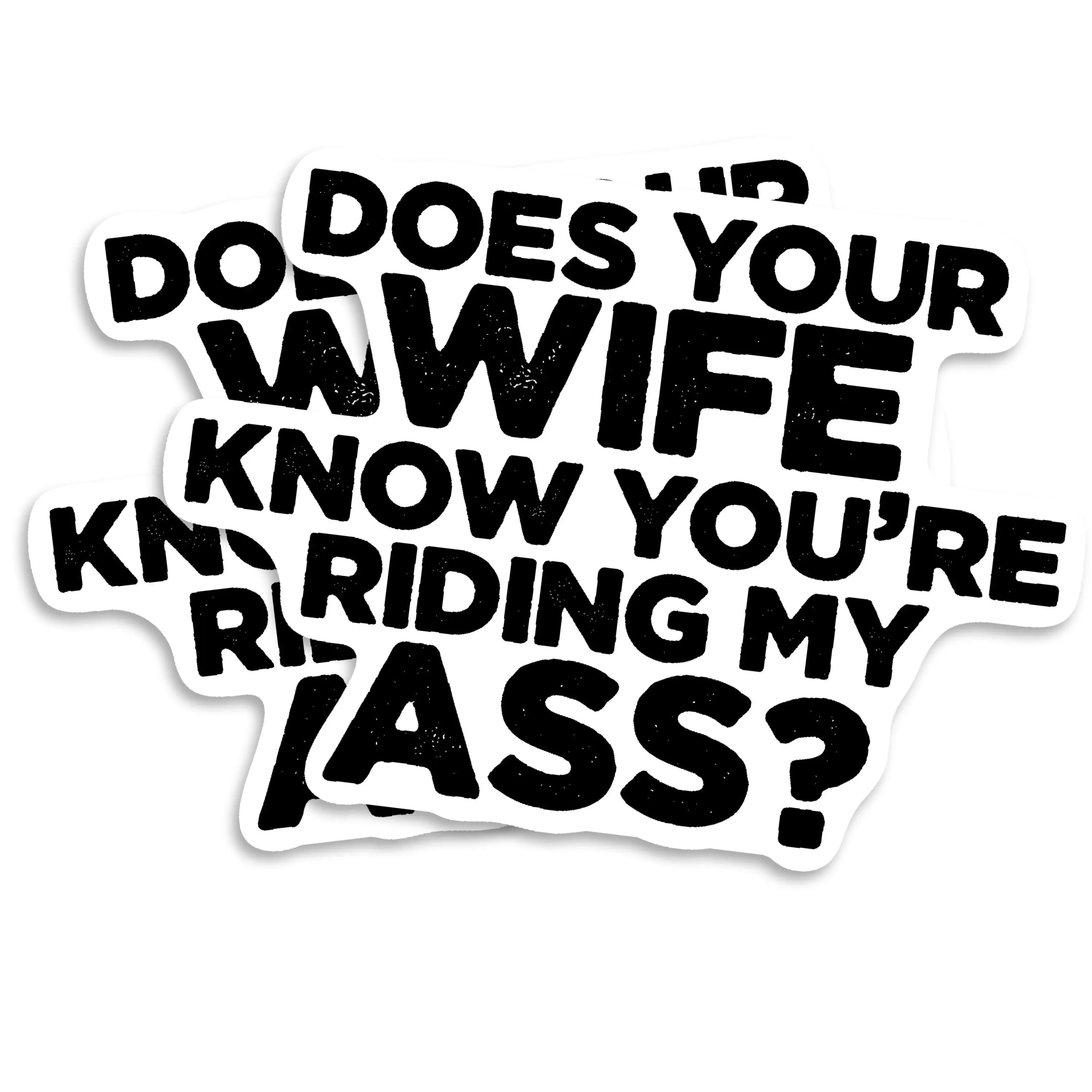 Funny Sticker Sarcastic Bumper Sticker Rude Humor Decal Wife Gag Gift Joke Sticker Offensive Sticker Novelty Sticker - 5 Inch 2 Pack - PLST0016