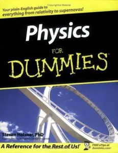 USED-Physics For Dummies by Steve Holzner (Paperback)
