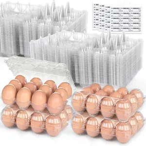 60 count 12 Count Plastic Egg Cartons, with 60 count Date Labels, Bulk  Clear  Egg Containers for  Medium Eggs Storage, Suitable for Farms, Families, Markets Display