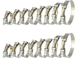 16 count T-Bolt Hose Clamps, Working Range 50-116mm(1.75"- 4"), 304 Stainless Steel Heavy Duty Turbo Intake Intercooler Clamps