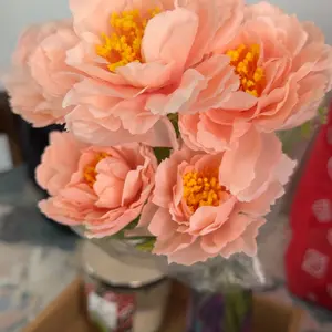 review image 2