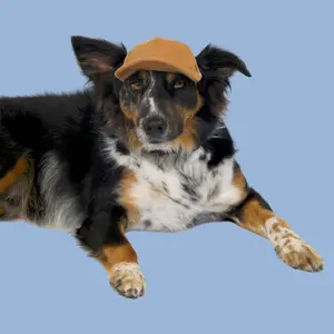 PupLid Corduroy Trucker Hats for Dogs - All Seasons Nature-Inspired Tones Soft Texture Cozy Classic Style Meets Comfort