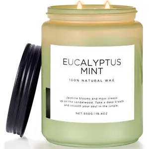Eucalyptus & Mint Candles for Home Scented, 19.4oz 110 Hours  Soy  Candle  for  , Meditation, Yoga, Relaxing ,  Soy Wax for Men and Women