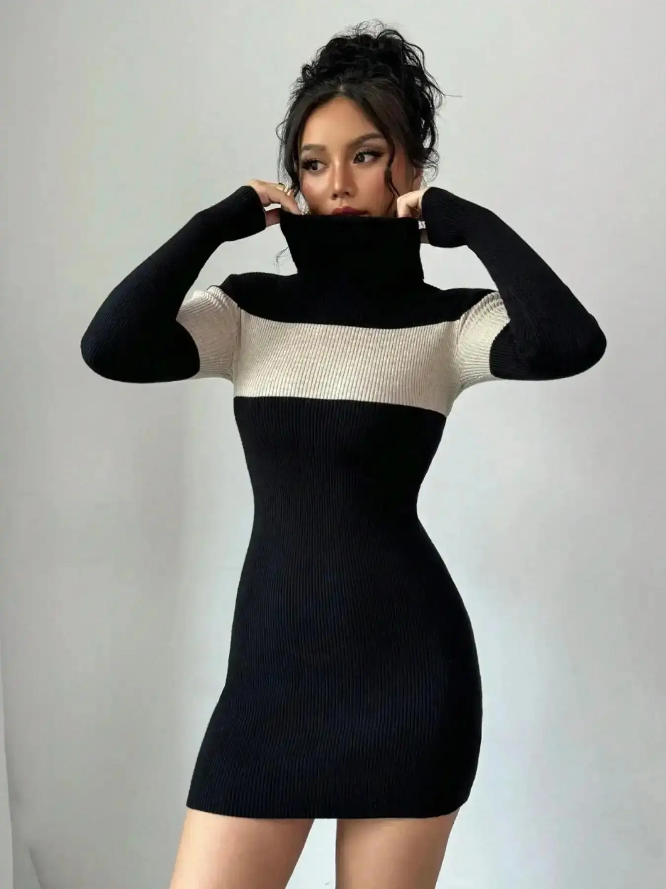 Women's Sophisticated High Neck Turtleneck Colorblock Long Sleeve Bodycon Dress, Commuter Office Wear, Daily Use, Date Night, Casual Fashionable Simple Style, Fall Winter, elegant silhouette, timeless appeal