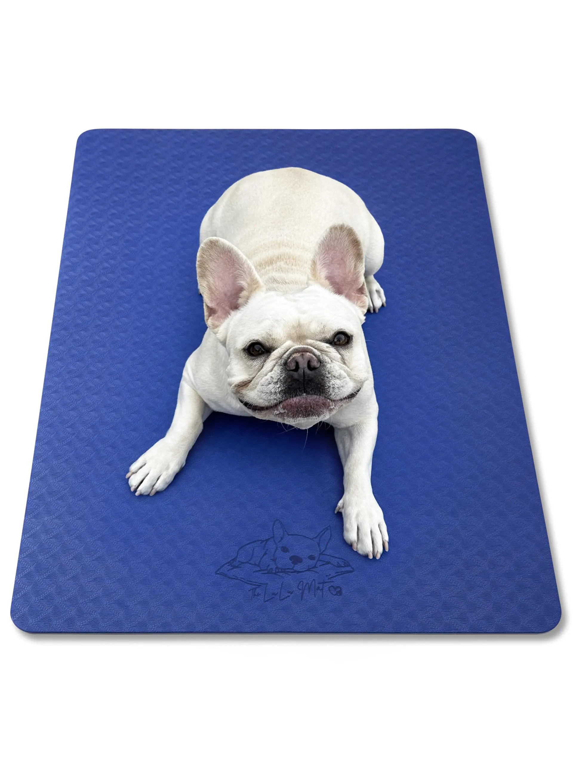 The LuLu Mat Puppy Dog Obedience Training Mat. Two Ply TPE Yoga Style mat for Dog Obedience Training and Pet Place Training (24" x 36")