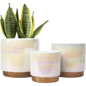White Indoor Pots for , Ceramic Planter with Drainage Hole, 6.0 inch+5.0 Inch+4.0 Inch. Succulent Orchid Flower Pot - Rainbow