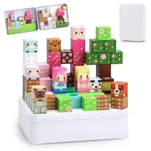 Princess Magnetic Building Blocks Magnetic Building Tiles Travel Portable Iron Box Toy Set, 35/70 Pieces Stem Learning Toys for Kids 3+, Unisex Birthday Gift