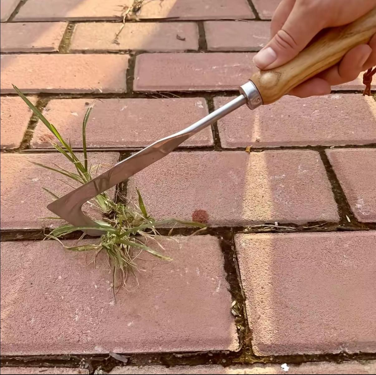 Crack Weeder Tool Crevice Cleaning Tool12" Stainless Steel Manual grass Puller ToolBeech Wood Handle for Sidewalk DrivewaysPatio Paver Narrow and Wall Gaps Garden