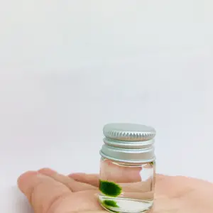 Live Marimo Moss Ball Super Mini Plant Bottle Jar Gift For Kids - Aquarium Plants Aquascape Tank Decor aquatic plant aquarium plant dwarf water