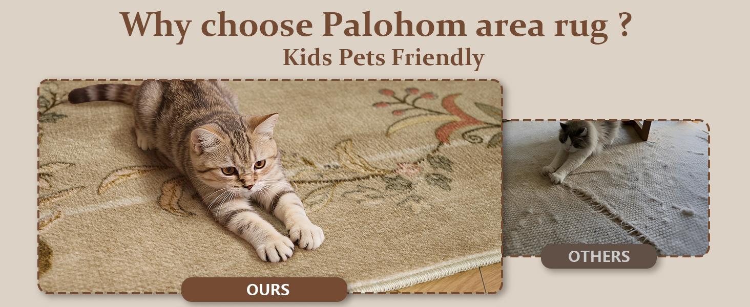 Washable Small Entryway Rug: Door Mat Indoor Entrance Stain Resistant Non Slip Rubber Backed Low Pile Soft Throw Area Rugs for Bedroom Kitchen Front Door Indoor Entrance Foyer Entry