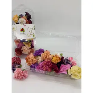 Freeze-Dried Edible Flowers Mini Carnations and Bachelor Buttons