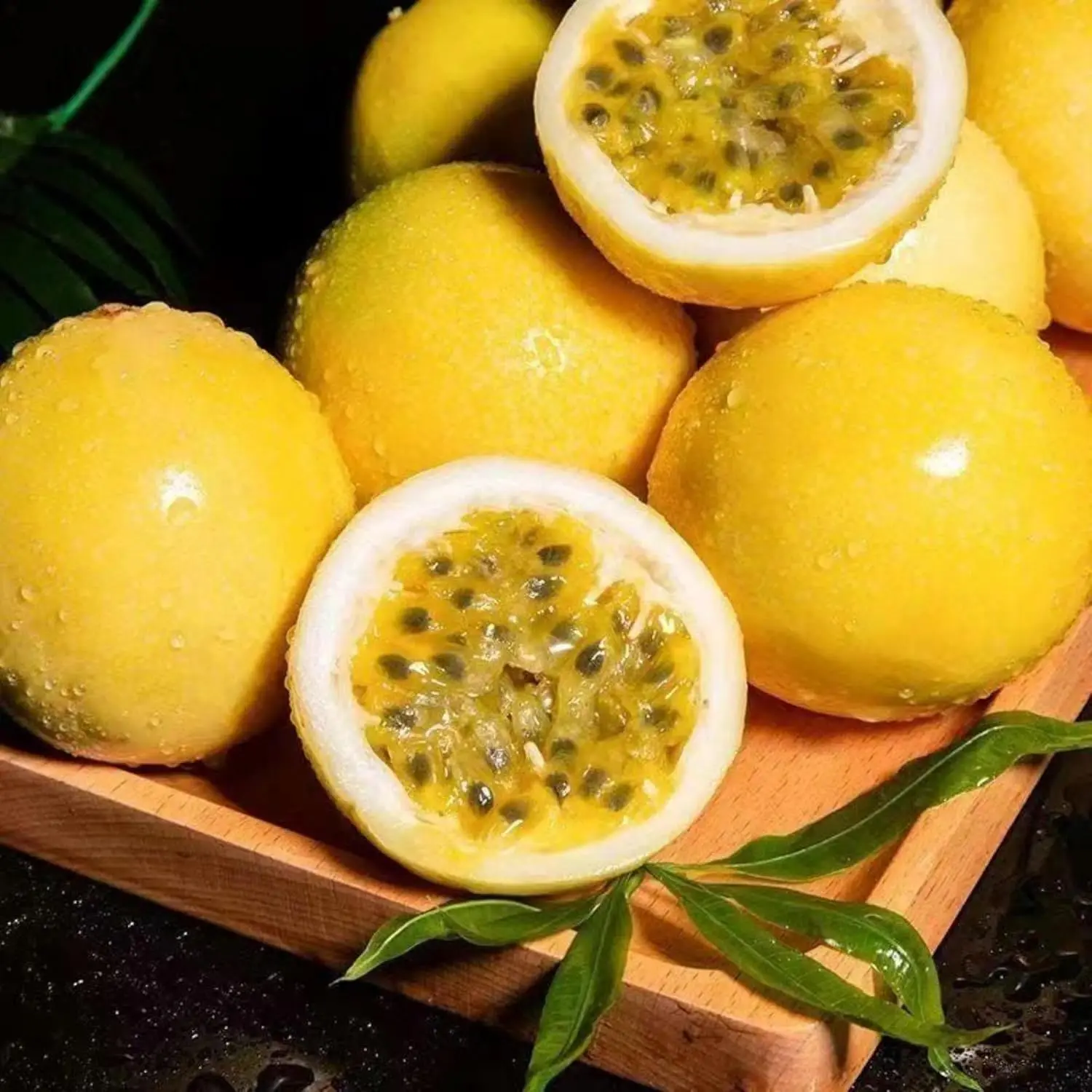 Passion Fruit Seeds - 1000+ Non-GMO, Easy-to-Grow, High-Yield Seeds for All Seasons Planting, Sweet & Tangy Fruit Vines, Ideal for Home Gardens & Containers, Gift for Gardening Enthusiasts