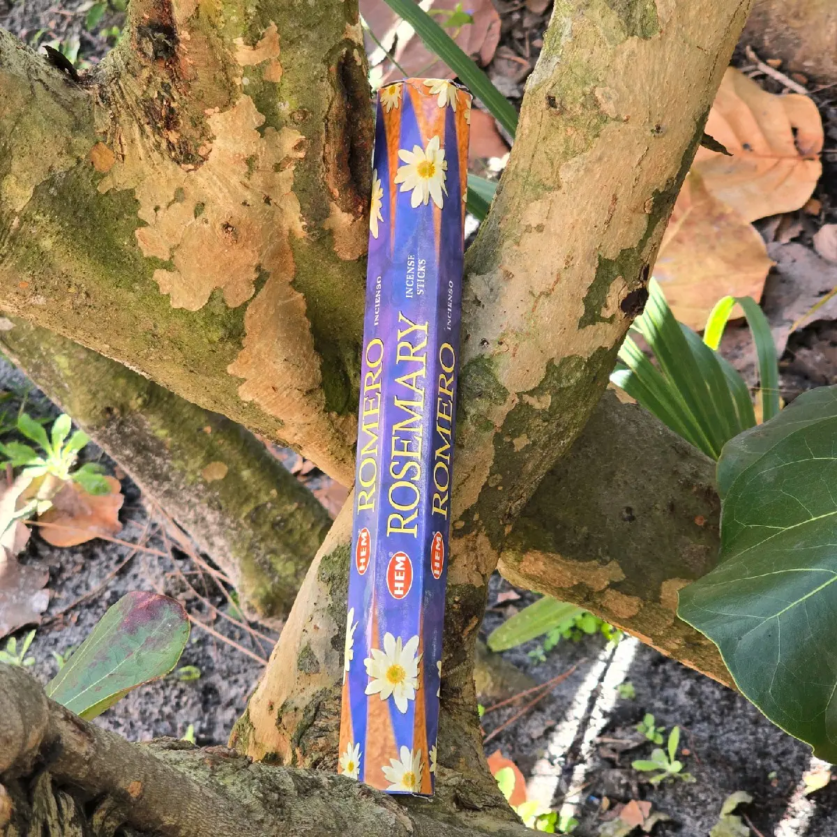 Rosemary Incense