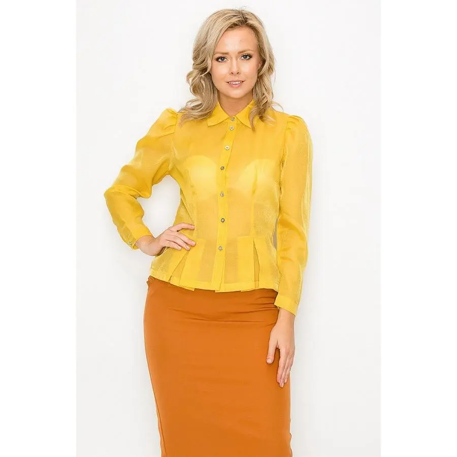 Women's Organza Pleated Long Sleeve Blouse - Casual, Fit, Basic Style for Overall Day Wear