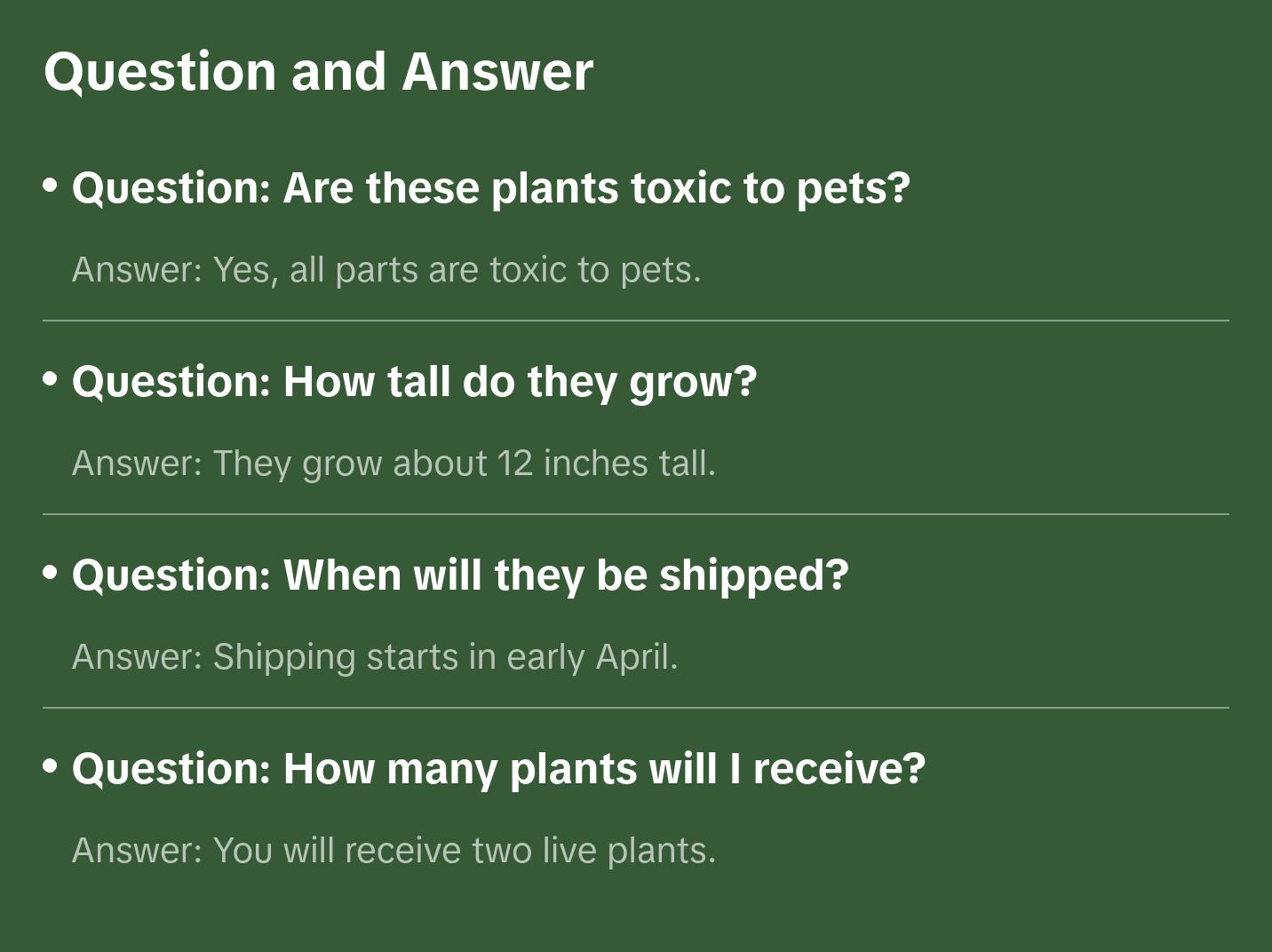 Delphinium Summer Blues (Larkspur) | Two Live Perennial Plants | Non-GMO, Dwarf Variety