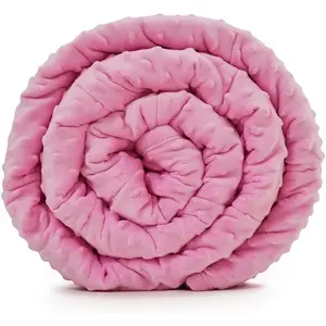 Minky Weighted Blanket 40''x60'',10lbs Cozy and Soft Minky Weighted Throw Blanket Luxury Velvet with Premium Glass Beads Pink Minky