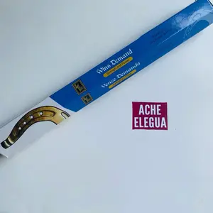 Wins Lawsuit Good Luck Incense Stick - 20 Sticks with Subtle Scent for Manifesting Goals and Spiritual Fulfillment