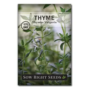 Thyme