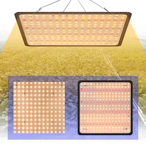 150W Full Spectrum LED Plant Grow Light 110V/220V Quantum Board Planting Fill Lights Sunlight Greenhouse Tent Hydroponics System Growth Box UV IR Red Blue Veg Fruit Seeding Blooming Lamp Potted Succulent Moss Cactus Cultivation Lighting with Hook US Plug