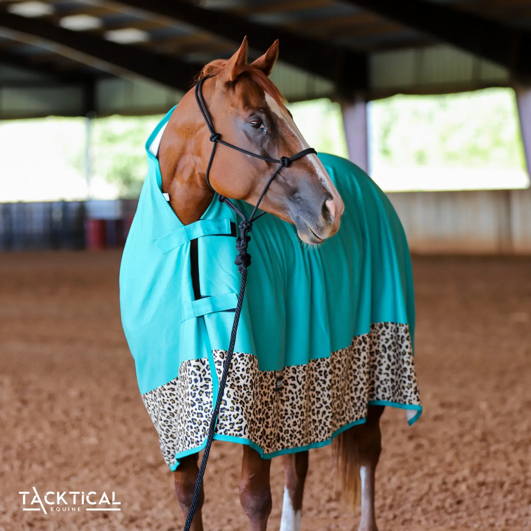 FLEECE LEOPARD & MINT COOLER SHEET FLEECE LEOPARD & MINT COOLER SHEET