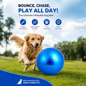 This Ball Changed My Walk Routine Forever!
