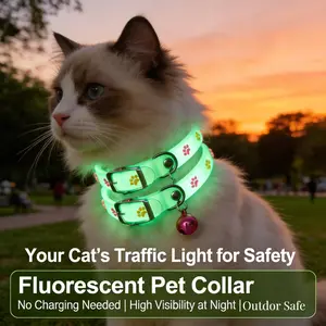 2pcs Pet Night Glow Collar, Plastic Material with Fluorescent Function, Effective Anti-Lost Design, Safe & Durable Dog/cat Accessory