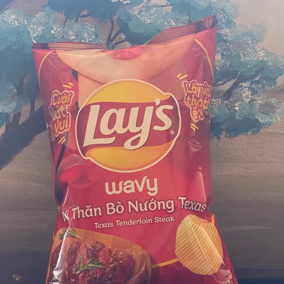 Lays Texas Tenderloin Steak