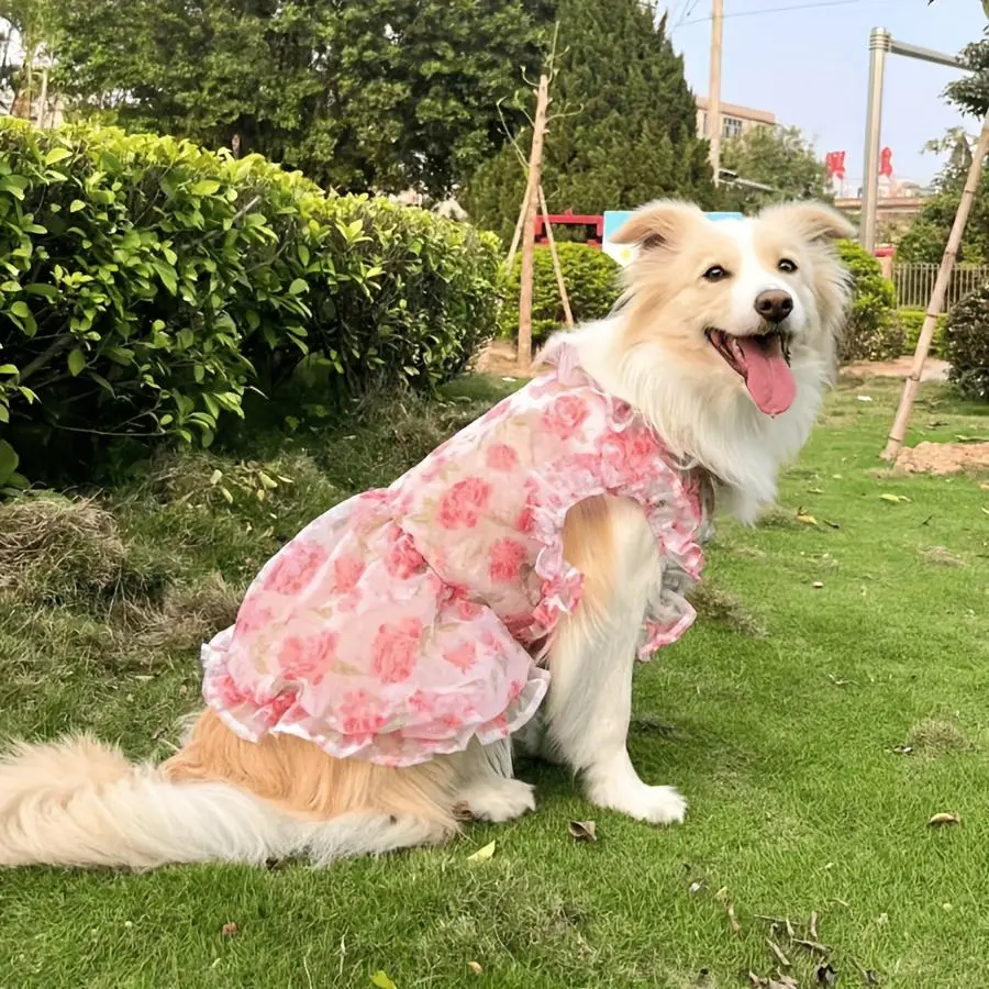 Large Dog Clothes Spring Summer Thin Rose Cute Medium to Large Dog Outfit Pet Apparel Floral Princess Dress Valentine'S Day Skirt